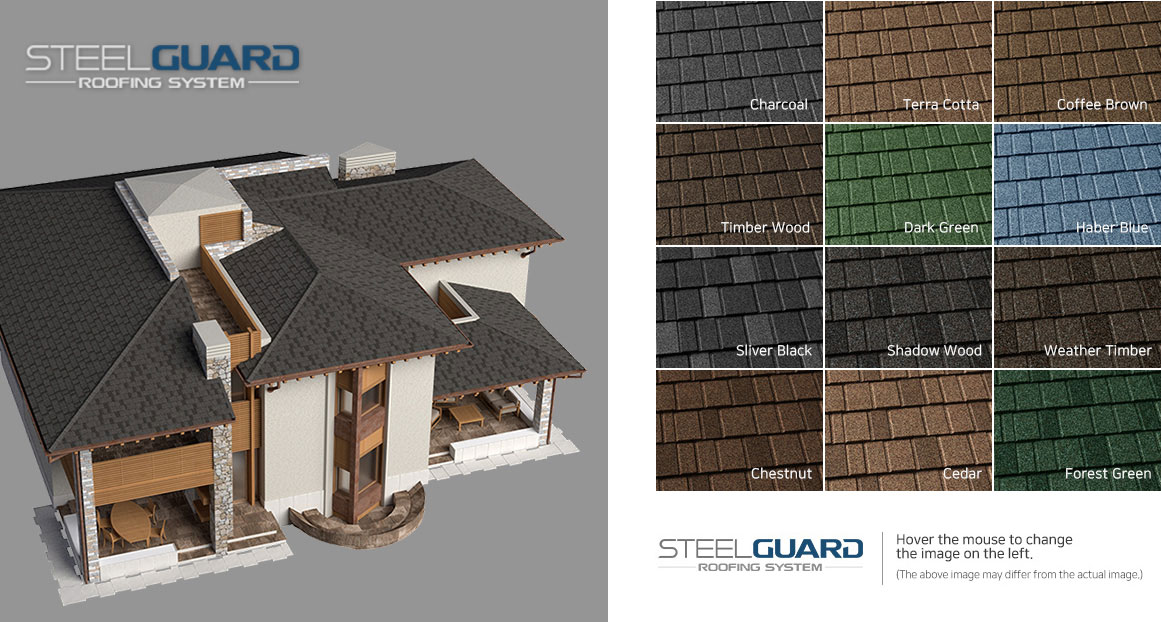 steel guard 2