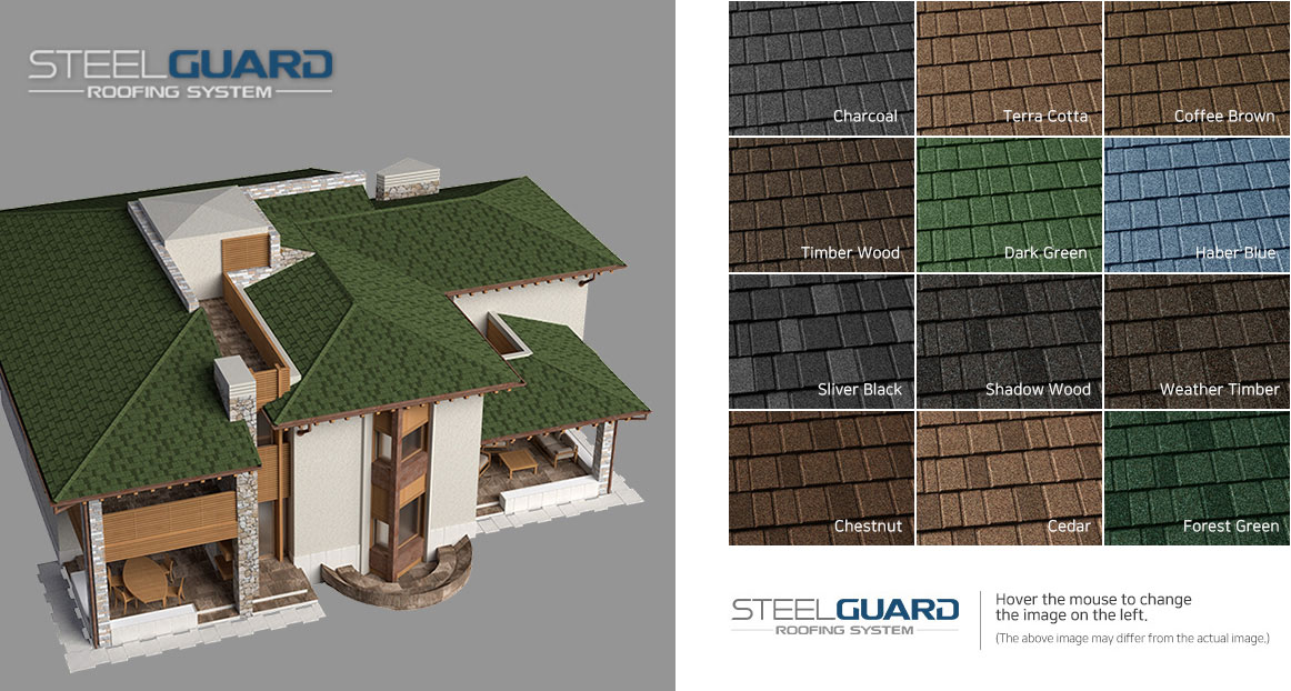steel guard 5