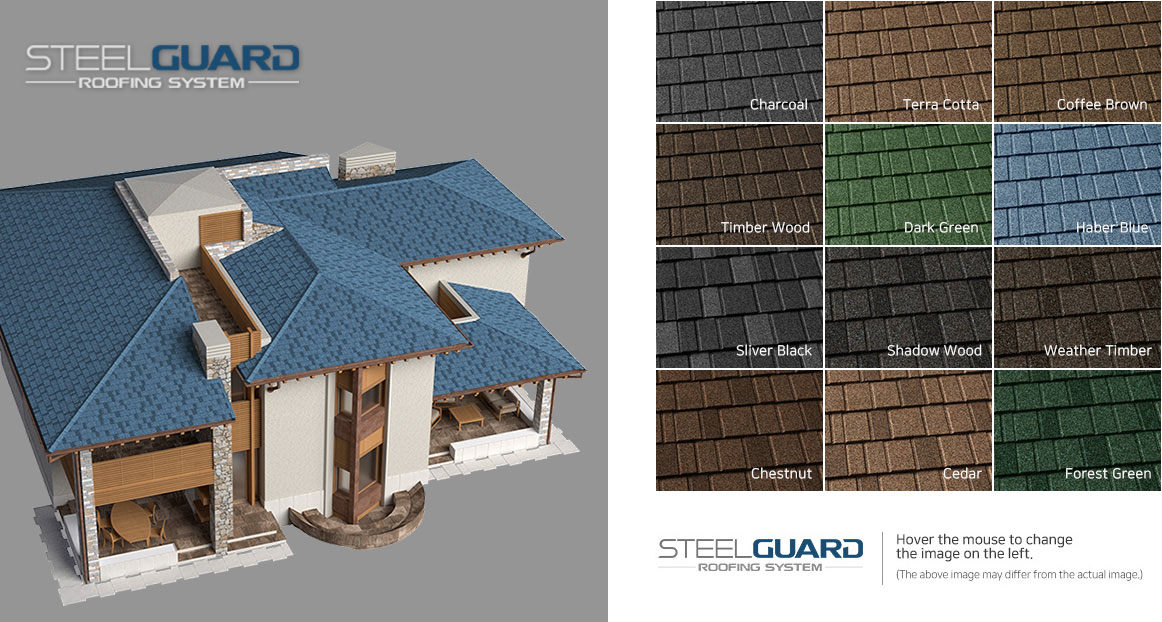 steel guard 6