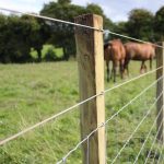 Plain Wire Galvanised - Image 2