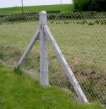 Concrete Fencing Poles - Image 3