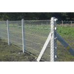 Concrete Fencing Poles - Image 4